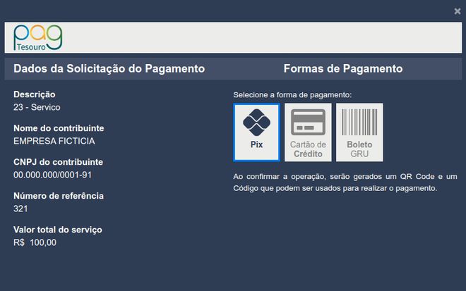 Este exemplo mostra como é a tela de pagamento na opção do PagTesouro (Imagem: Governo Federal/Divulgação)