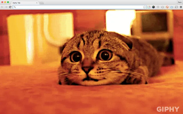 E se você abrisse uma aba no Chrome e assistisse um GIF aleatório do GIPHY? Tem uma extensão faz isso (Imagem: Reprodução/Chrome Web Store)