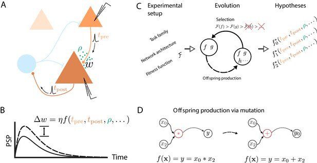 Esquema e utilização dos algoritmos evolutivos (Imagem: Reprodução/University of Bern)