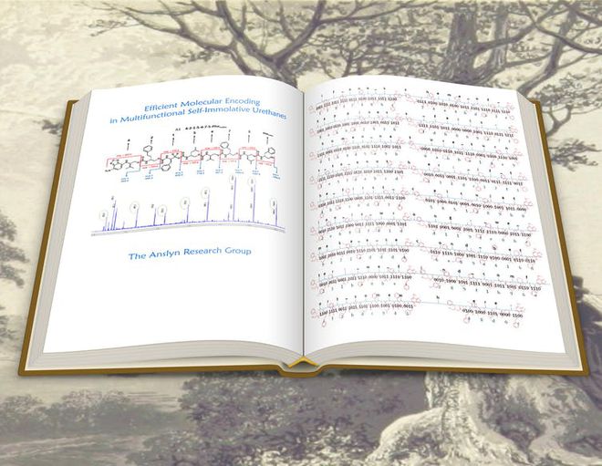 Citação do livro Mansfield Park armazenada em moléculas de plástico (Imagem: Reprodução/University of Texas)