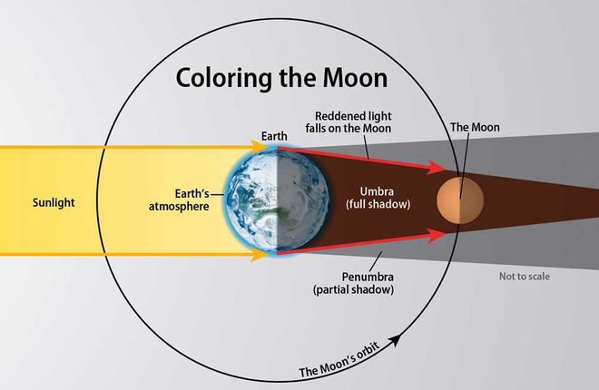 Durante o eclipse lunar total, a Lua fica avermelhada devido à passagem de luz pela atmosfera terrestre (Imagem: Reprodução/Astronomy/Roen Kelly)