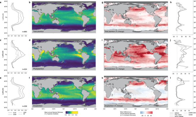Projeções das populações de plâncton para o período de 2081 a 2100 (Imagem: Reprodução/Fabio Benedetti el al.)