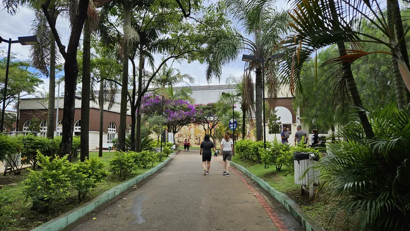 Galaxy S23 - Foto câmera principal