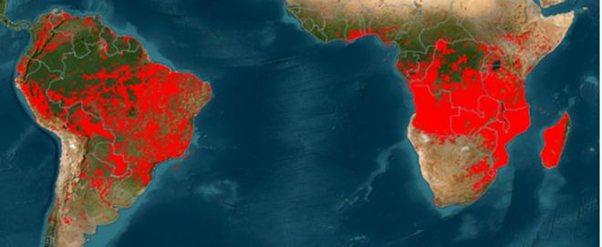 Focos de calor detectados por sensoriamento remoto referente ao dia 9 de setembro de 2024 (Imagem: Reprodução/FIRMS/NASA)