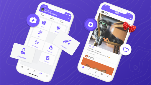 Flockr: app brasileiro quer ser o veterinário de bolso do seu pet