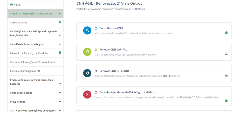 O portal Meu Detran MS permite dar os primeiros passos para renovar carteira online (Imagem: Captura de tela/Fabrício Calixto/Canaltech