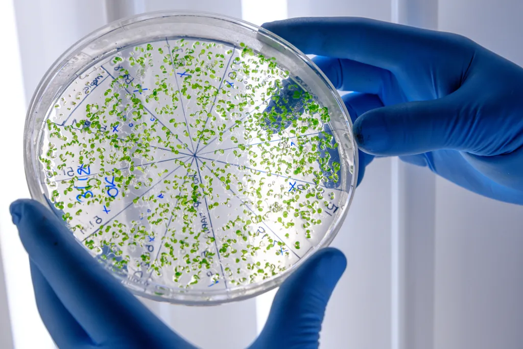 Cientistas criaram células sintéticas com auxílio de bactérias (Imagem: Wirestock/Freepik)