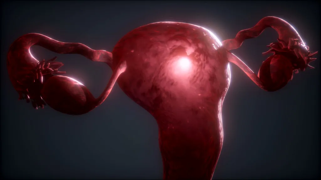 É possível continuar a viver sem alguns órgãos, como o útero e os ovários (Imagem: Icetray/Envato)