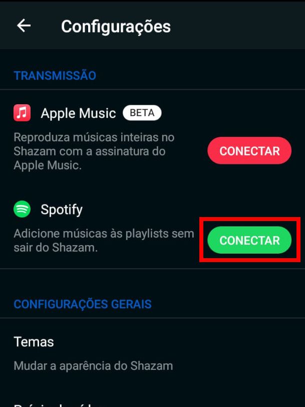 Localize o ícone do Spotify e clique em "Conectar" (Captura de tela: Matheus Bigogno)