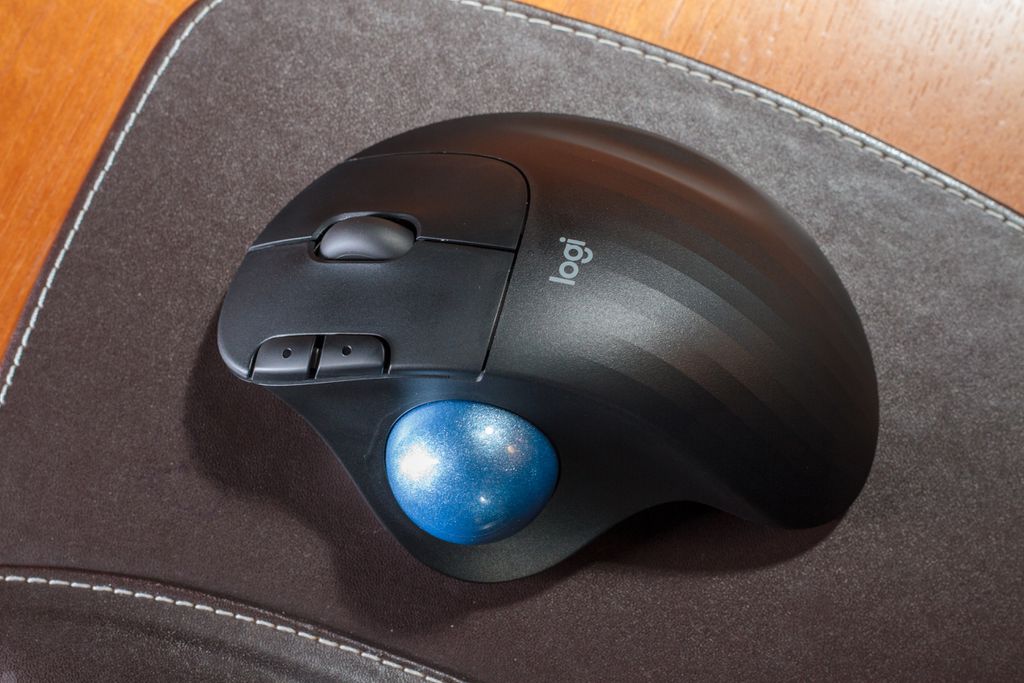 Formato do mouse oferece pegada confortável (Imagem: Ivo/Canaltech)