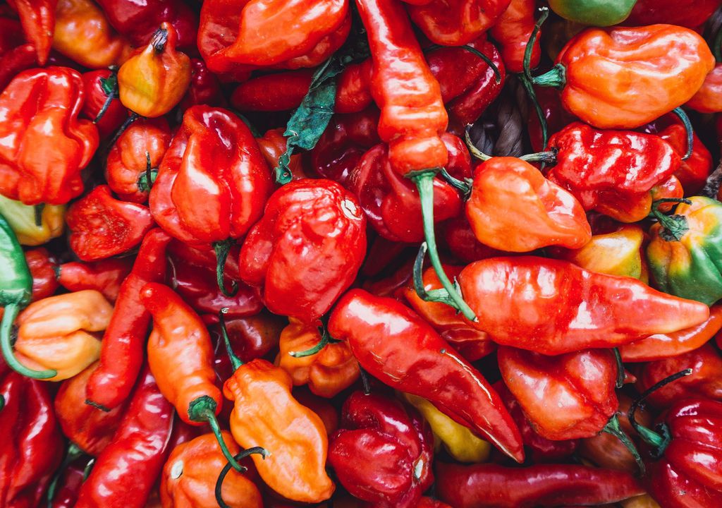 Quem experimenta a pimenta mais ardida do mundo, a Pepper X, relata sofrer com os sintomas por 5 a 6 horas (Imagem: Timothy L Brock/Unsplash)