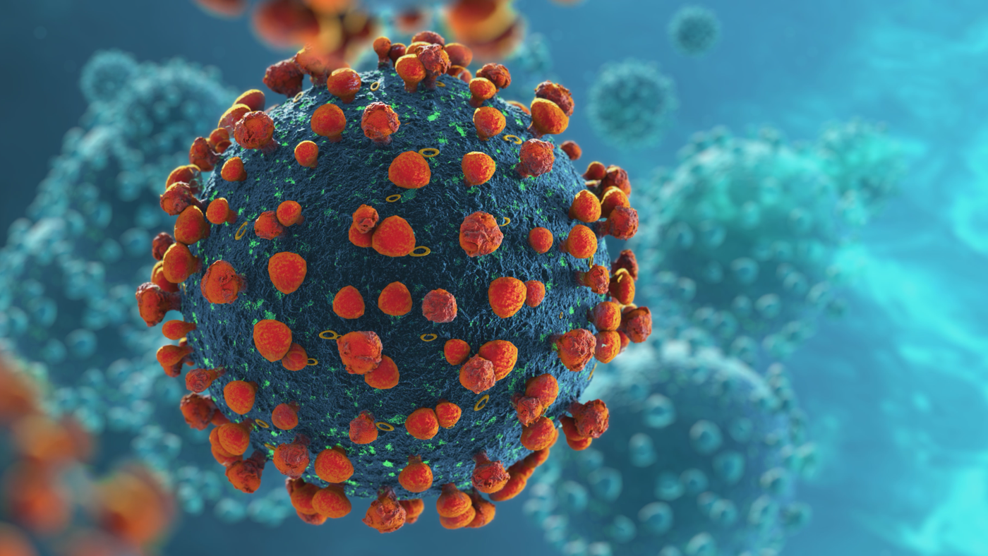 USP-Wissenschaftler identifizieren Moleküle, die durch das Coronavirus verursachte Entzündungen unterdrücken können