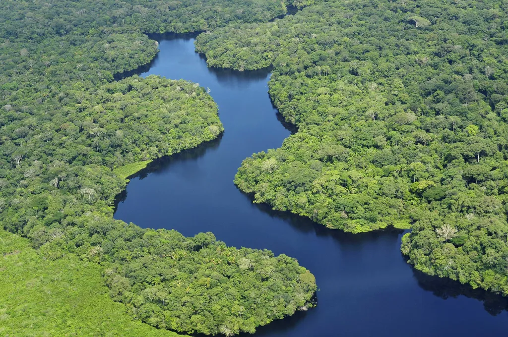 O arqueólogo Eduardo Góes Neves investigou o povoamento na Amazônia há milhares de anos (Imagem: Reprodução/CIAT/NeilPalmer)
