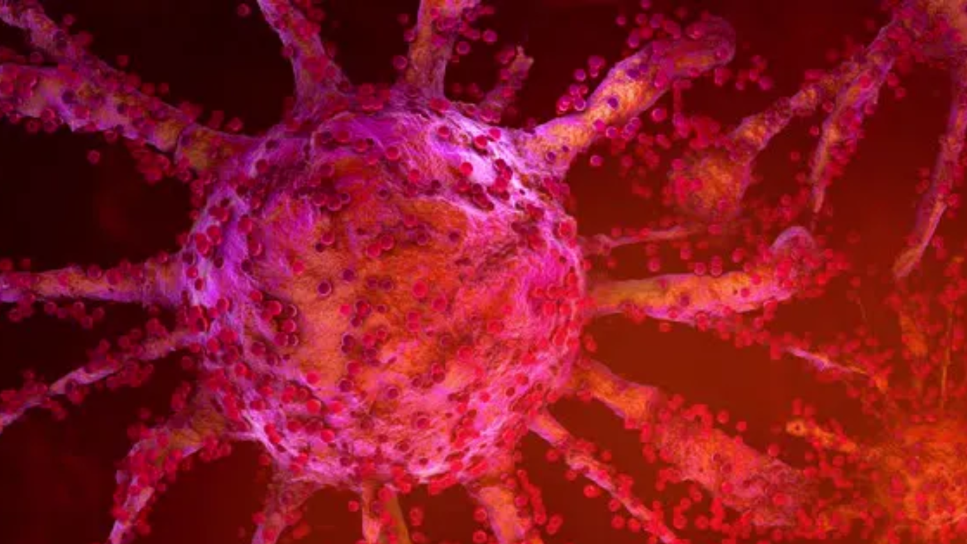 La terapia celular conduce a la curación completa del cáncer en el paciente en el SUS