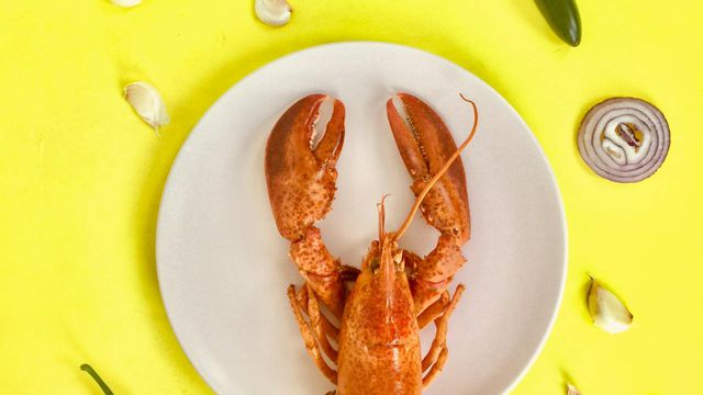 Reprodução/Pexels