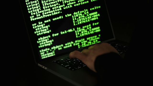 Sora Shimazaki/Pexels