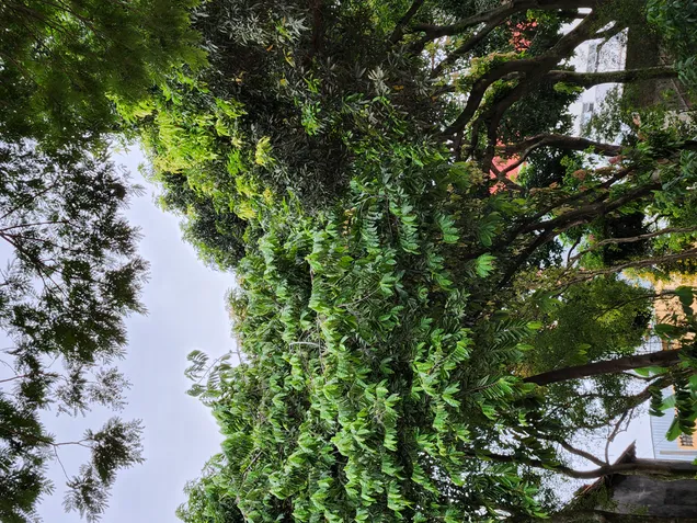 Foto da c&acirc;mera do Galaxy S22