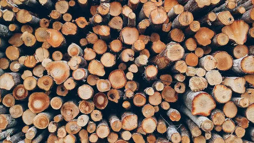 Cientistas criam "madeira personalizável" cultivada em laboratório