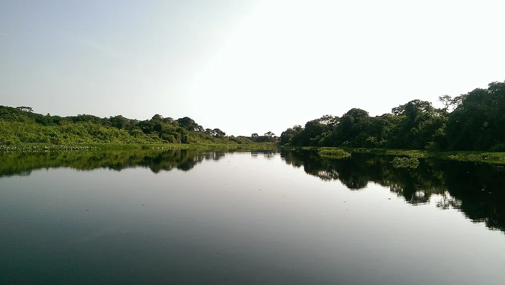 Rio Miranda, no pantanal, banha a cidade de mesmo nome (Imagem: Cataleirxs/Wikimedia Commons)