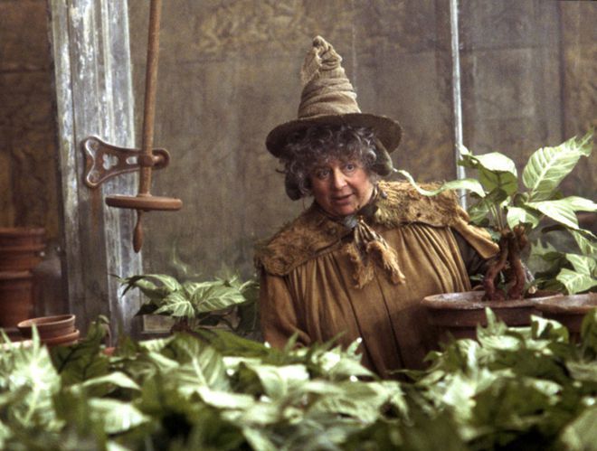 Miriam Margolyes como a Professora Sprout de Harry Potter (Imagem: Divulgação/Warner Bros. Pictures)