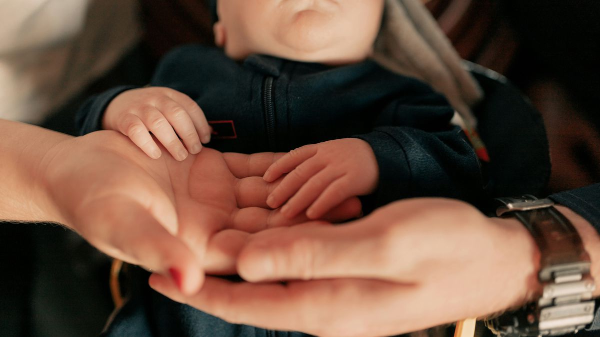 Febre de bebês reborn mobiliza PLs de apoio psicológico e veto a "atendimento"