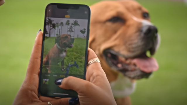 Apple te ajuda a tirar fotos mais expressivas do seu pet em novo vídeo