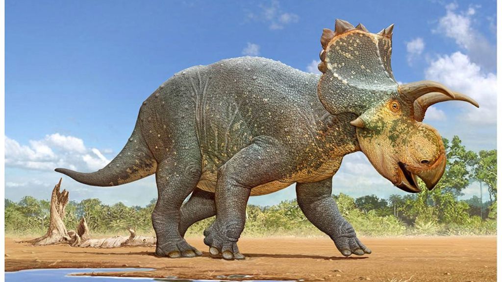 Assim deve ter sido a aparência do Crittendenceratops krzyzanowskii (Imagem: Sergey Krasovskiy)