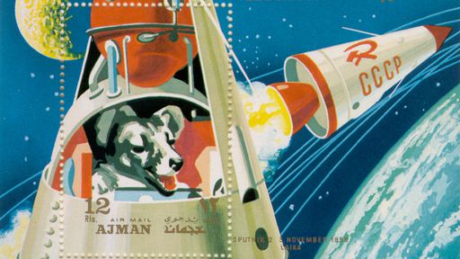 Conheça a história da cadela Laika, que viajou ao espaço a bordo da Sputnik II
