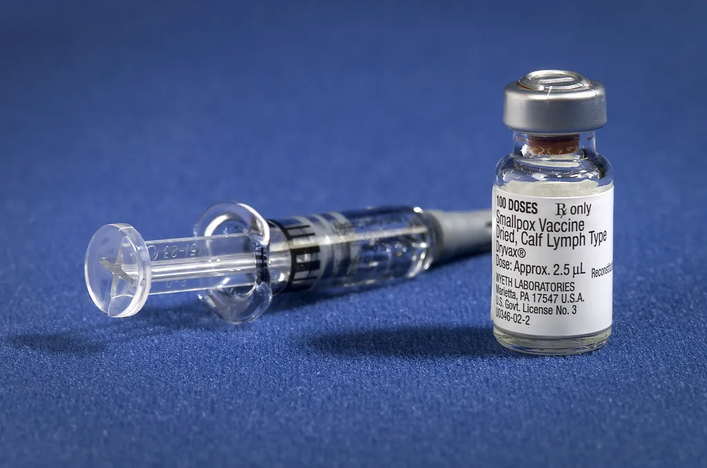 A vacina contra a varíola foi um dos maiores avanços da medicina, já que a doença era tão mortal quanto o câncer anteriormente (Imagem: James Gathany/CDC)