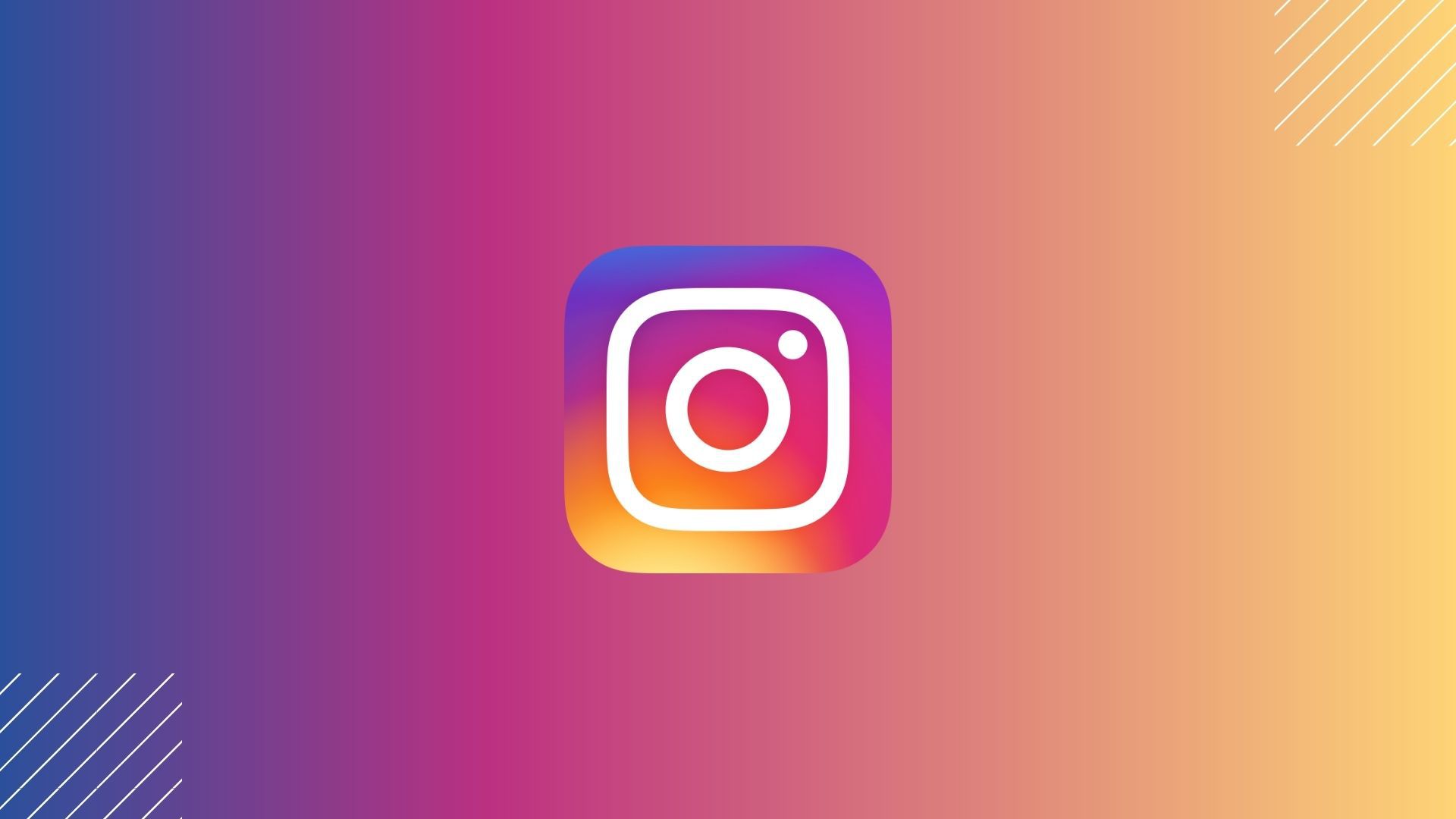 Página no Instagram ganha seguidores após divulgar dicionário de