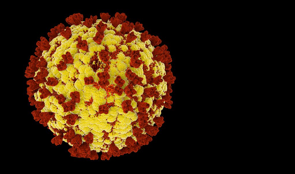 O vírus da covid-19 é um ponto fora da curva, então não foi considerado nas pesquisas, mas seu primo, o SARS 1, figura entre os tipos de vírus preocupantes para as próximas décadas (Imagem: IciakPhotos/Envato)
