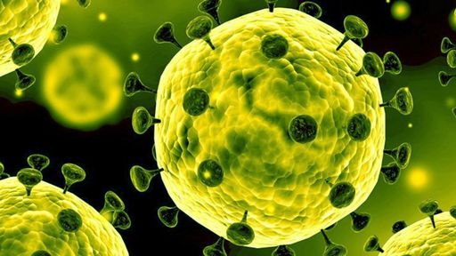 Médico aponta coronavírus como um ensaio para uma Grande Pandemia