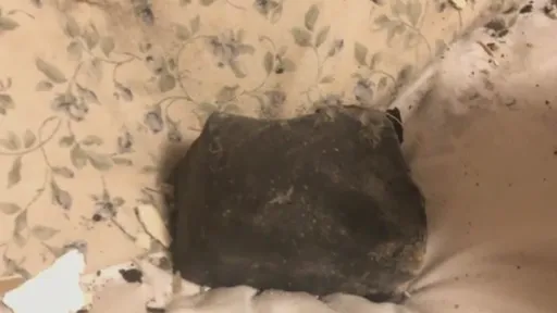 Canadense leva um baita susto após meteorito atravessar o teto de seu quarto