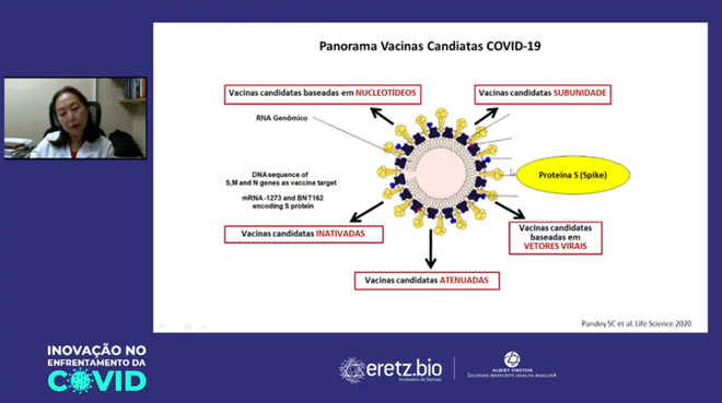 Diferentes frentes de pesquisa são testas na busca por uma vacina contra a COVID-19 (Captura de tela: Reprodução/ Hospital Albert Einstein)