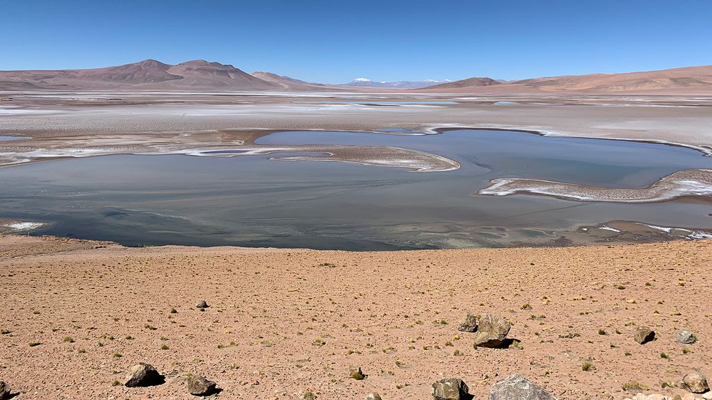 O Altiplano Andino na América do Sul tem uma paisagem que pode ter existido em Marte na Cratera Gale (Foto: Maksym Bocharov)