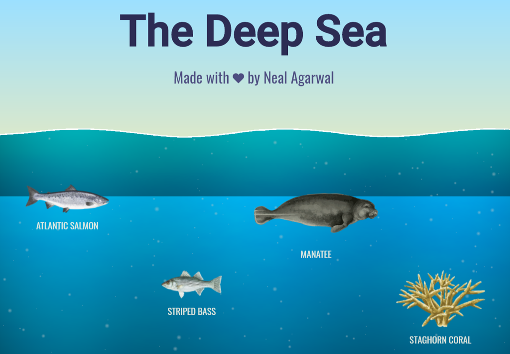 Desenvolvedor cria site com criaturas marinhas encontradas nas profundezas do oceano (Captura de tela: Fidel Forato/Canaltech)