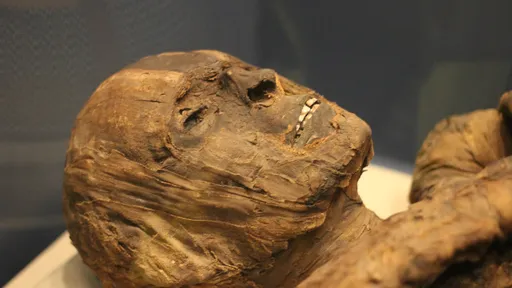 Cientistas encontram DNA de múmia preservado em piolho