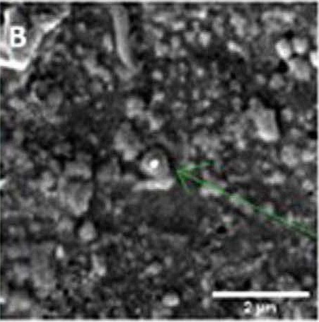 Grão de olivina encontrado no meteorito (Imagem: Reprodução/Nevill et al., ApJ, 2024)