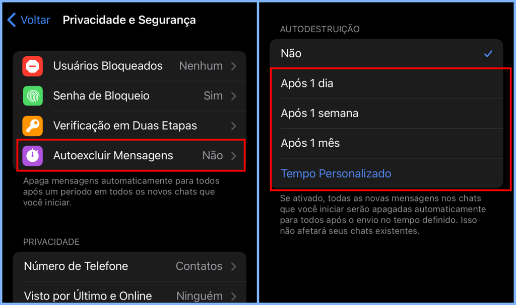 Quem quiser pode habilitar a opção de autoexcluir mensagens do Telegram e eliminar dados sensíveis de forma automática (Imagem: Captura de tela/Fabrício Calixto/Canaltech)