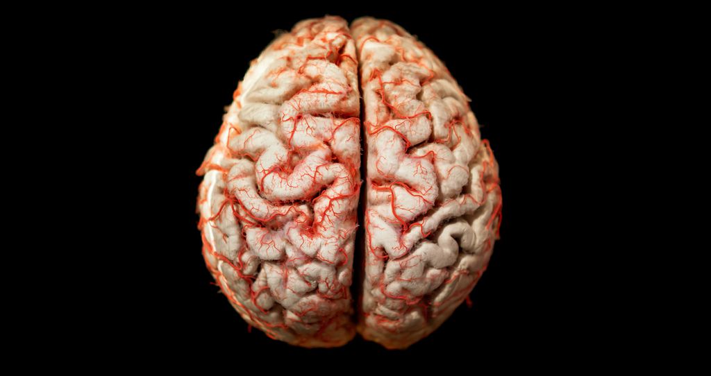 Sequelas da covid-19 no cérebro podem afetar pessoas com casos leves (Imagem: Reprodução/cookelma/envato)