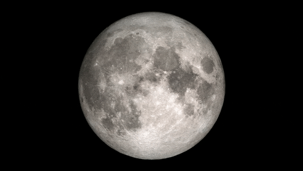As diferentes fases da Lua durante o mês (Imagem: Reprodução/NASA's Scientific Visualization Studio)