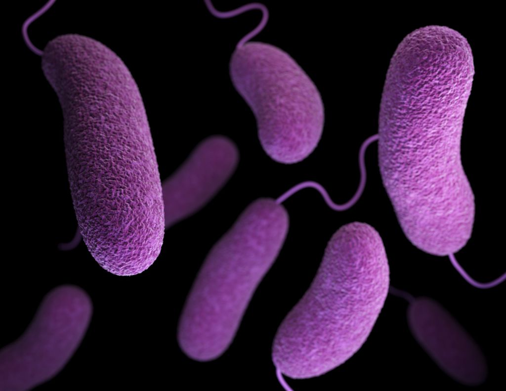 Uso excessivo de antibióticos está selecionando bactérias resistentes a esses remédios (Imagem: Reprodução/CDC/Unsplash)