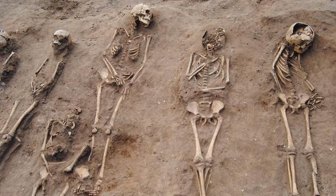 Arqueólogos desenterraram 48 indivíduos enterrados em valas comunitárias em Londres. 27 deles eram crianças, e todos vítimas da Peste Negra (Imagem: Universidade de Sheffield)