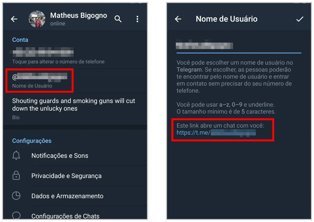 Veja como gerar o link do Telegram para seu contato pessoal (Captura de tela: Matheus Bigogno)