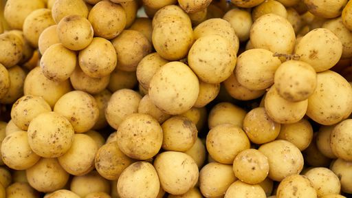 Será que nós conseguiríamos sobreviver comendo apenas um tipo de alimento?