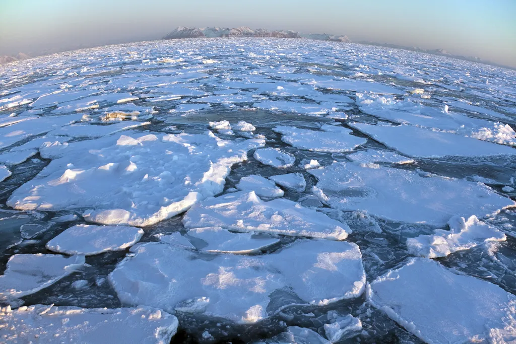 O gelo marinho ajuda na regulação da temperatura da Terra e tem um papel vital na circulação de nutrientes pelo oceano (Imagem: SteveAllenPhoto999/Envato)