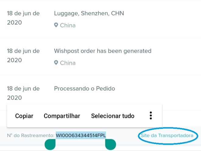 Copie o código de rastreamento e toque na opção "Site da Transportadora" (Reprodução/ Felipe Freitas)