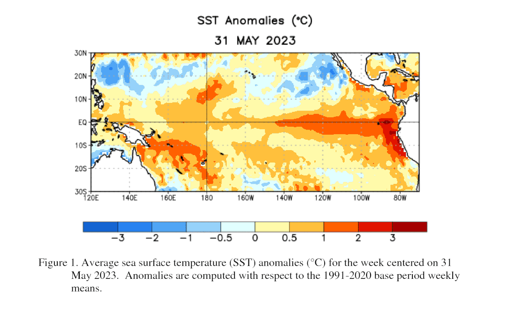 Anomalias de temperatura no Oceano Pacífico confirmam a volta do fenômeno El Niño (Imagem: NOAA)