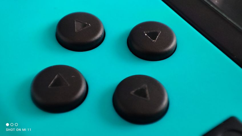 Xiaomi Mi 11 Fotos (macro)