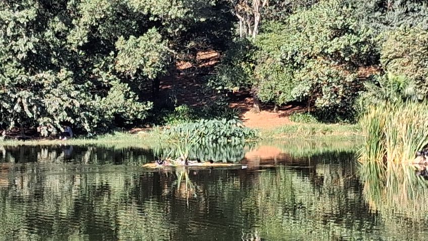 Foto com zoom óptico 4x do Samsung Galaxy M35